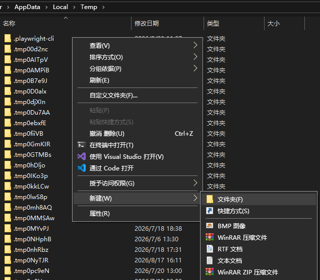Temp 目录